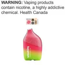 Wowking Disposable Watermelon ICE