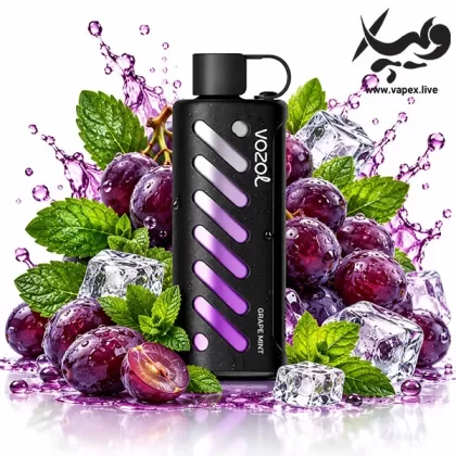 پاد یکبار مصرف وزول گیر شیشا ۲۵۰۰۰ پاف طعم انگور نعنا | Vozol Gear Shisha 25000 Grape Mint