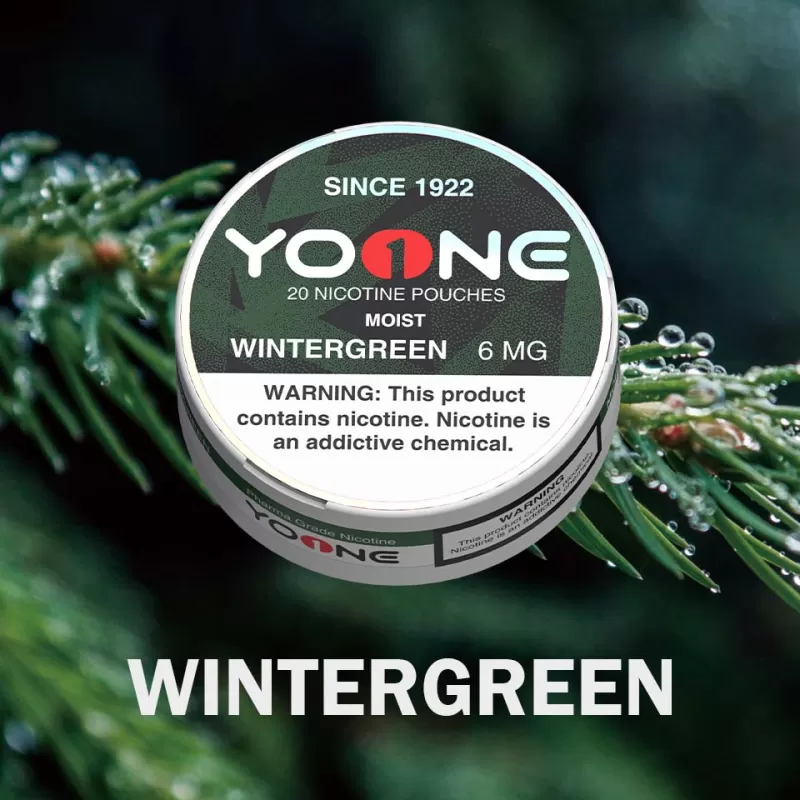 YOONE Pouches Wintergreen 6MG (Moist)