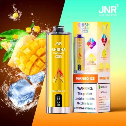 Wholesale JNR Shisha Hookah Max 22000 Puffs Disposable Vape
