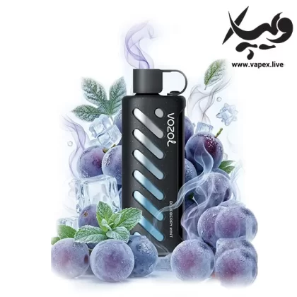 ویپ یکبار مصرف وزول گیر شیشا ۲۵۰۰۰ پاف بلوبری نعناع Vozol Gear Shisha 25000 Puff Blueberry Mint