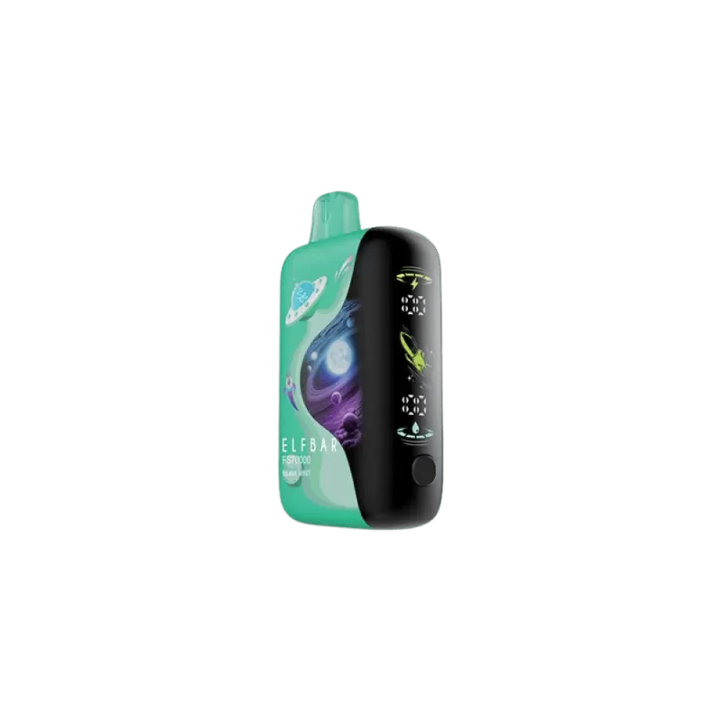 Elf Bar FS70K – Miami Mint Disposable Vape
