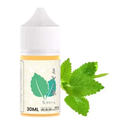 سالت نعنا یخ توکیو | TOKYO ICED MINT