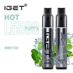 iGET VAPE 5500 PUFF – MINT ICE
