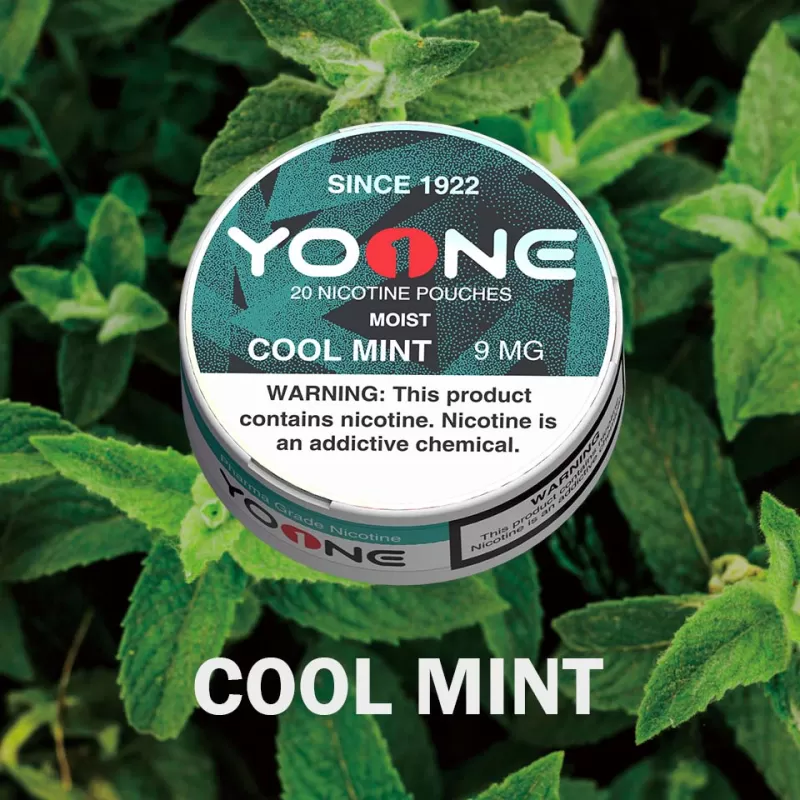 YOONE Pouches Cool Mint 9MG (Moist)