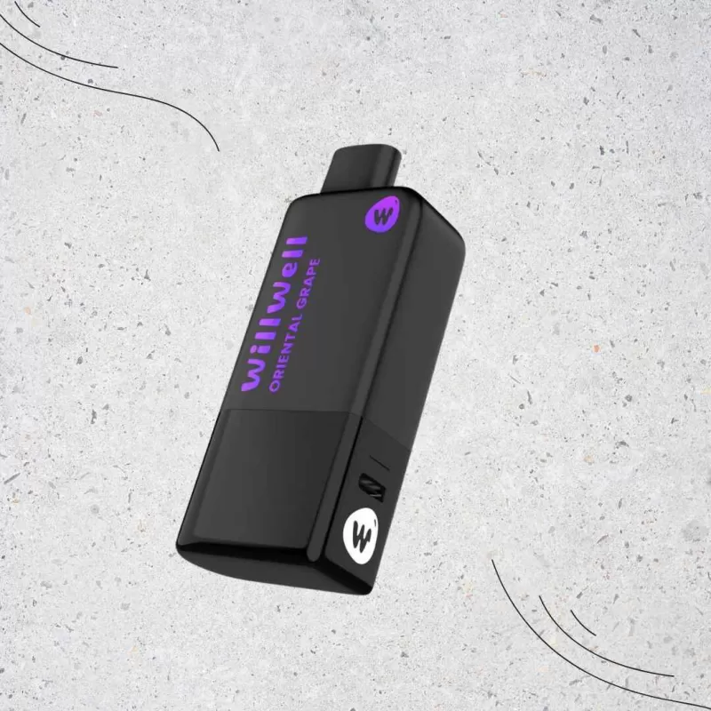 WillWell 11000 Puffs Oriental Grape