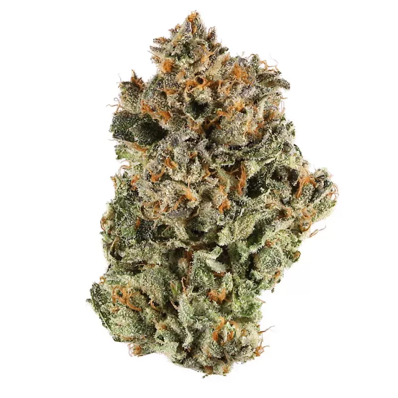 Sunset Sherbet
