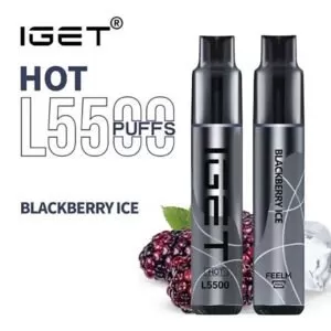 iGET VAPE 5500 PUFF – BLACKBERRY ICE