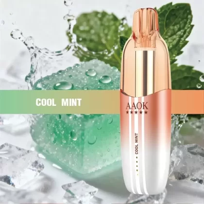 AAOK 25000 Puffs 25k Disposable Vape (Japan Local Stock) – Premium Alternative to Snowplus Dash 4000
